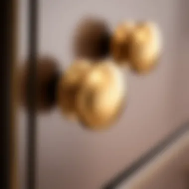 Magnificent Exploring Double Screw Dresser Knobs: A Comprehensive Guide Magnificent Exploring Double Screw Dresser Knobs: A Comprehensive Guide