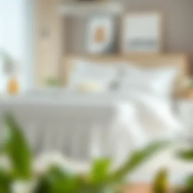 Magnificent Exploring the Functionality and Aesthetics of a White Queen Bedskirt Magnificent Exploring the Functionality and Aesthetics of a White Queen Bedskirt