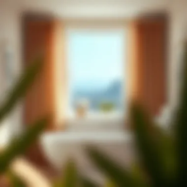 Magnificent Short Curtains for Small Bathroom Windows