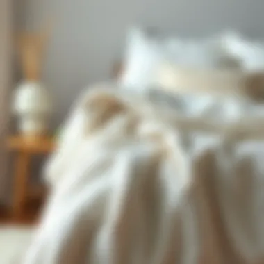 Magnificent The Allure of Soft White Blankets: A Comprehensive Exploration