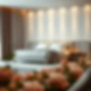 Magnificent The Bed with a Sofa at the End: An Exploration of Functionality and Design