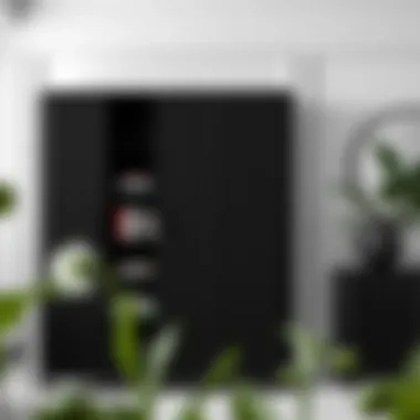 Magnificent The Tall Thin Black Cabinet: A Study in Form and Function