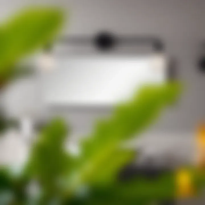 A Comprehensive Exploration of Matte Black Bathroom Vanity Light Fixtures Summary