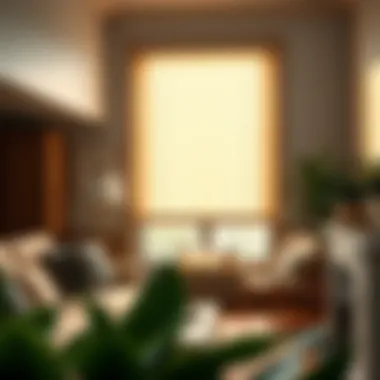 A Comprehensive Guide to Buying Motorized Blinds Summary A Comprehensive Guide to Buying Motorized Blinds Summary