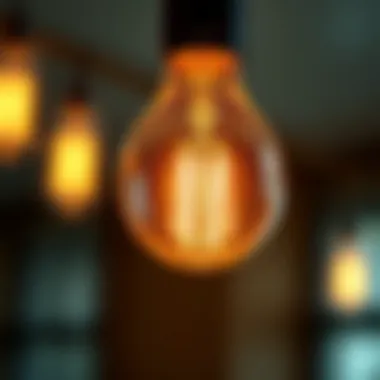 Close-up of a dimmable incandescent bulb showcasing its elegant design