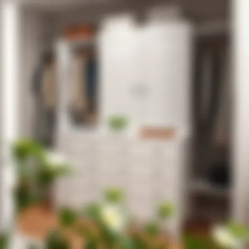 Dresser for Closet Organizer: Maximizing Space and Style Introduction