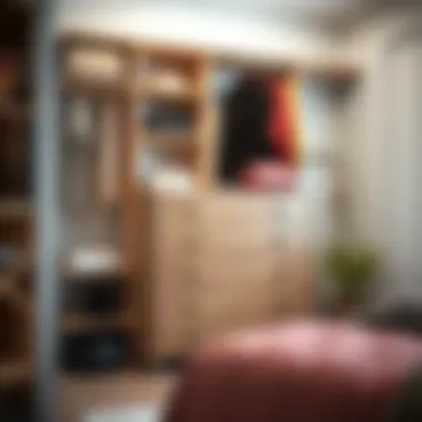 Notable Dresser for Closet Organizer: Maximizing Space and Style