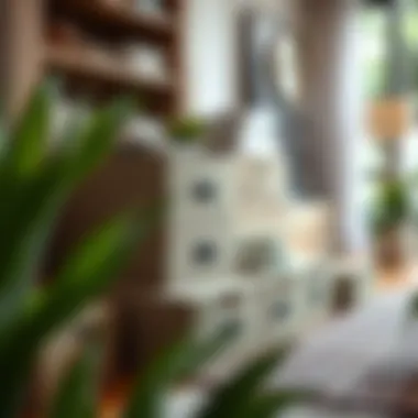 Sustainable Shoe Box Storage Solutions Eco-friendly shoe box storage options displayed