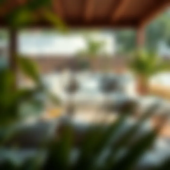 Design ideas for incorporating acacia sofas