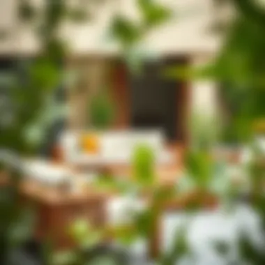 Maintenance tips for acacia furniture care