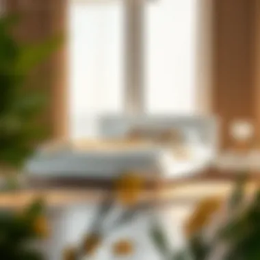 Maintaining Your California King White Platform Bed Maintenance tips for a California King white platform bed in a serene environment