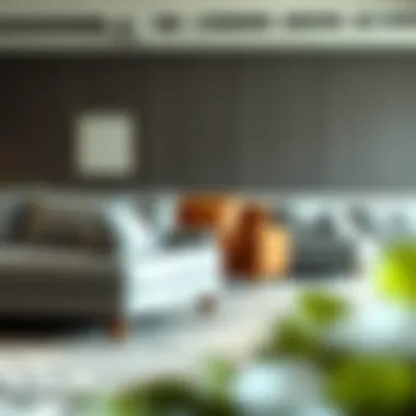 Different types of sofas lined up for comparison