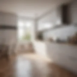 A modern minimalist kitchen showcasing sleek lines and monochromatic color schemes