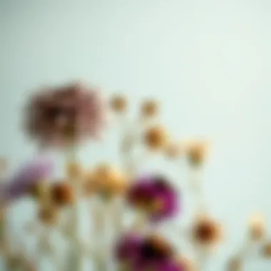 Close-up view of preserved blooms highlighting their natural beauty