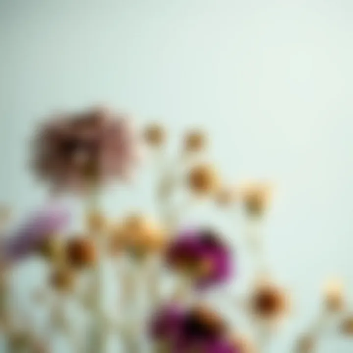 Close-up view of preserved blooms highlighting their natural beauty