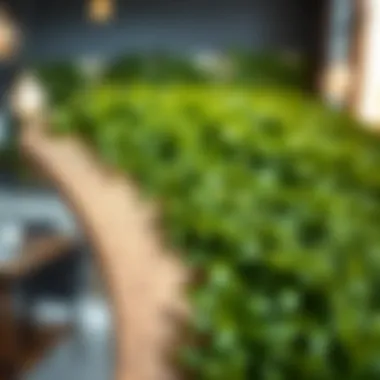 Close-up of high-quality materials used in faux greenery walls