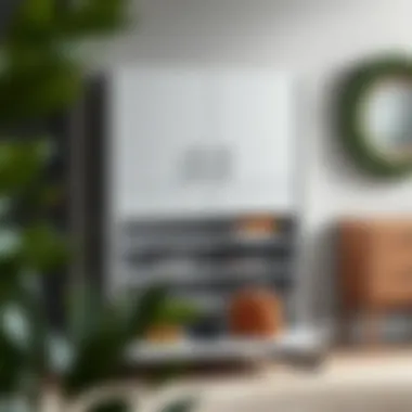 Contemporary front door shoe rack with sleek design