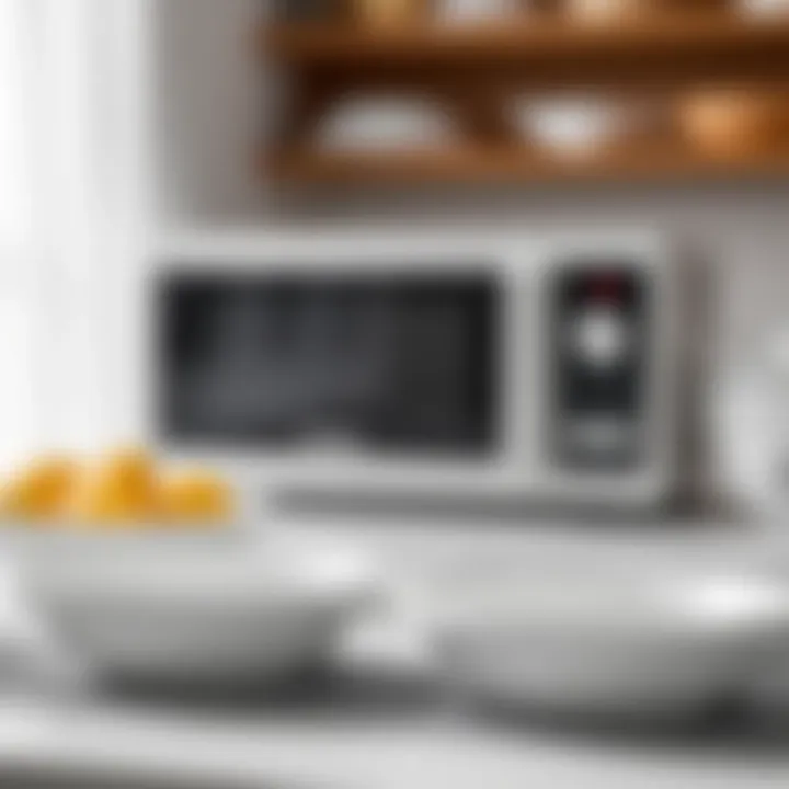 Exploring Lightweight Microwavable Dishes: Design, Material, and Utility Summary