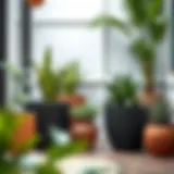 Exploring Long Deep Plastic Planters: A Comprehensive Guide Introduction