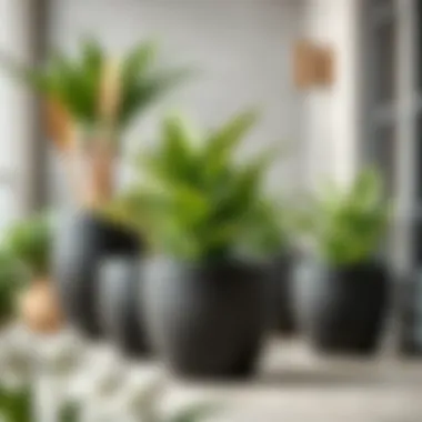 Notable Exploring Long Deep Plastic Planters: A Comprehensive Guide