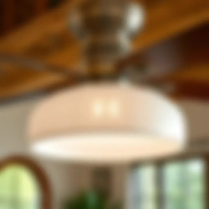 Notable Exploring Lowes Ceiling Fan Light Shades: Considering Functionality and Aesthetics