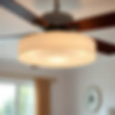 Exploring Lowes Ceiling Fan Light Shades: Considering Functionality and Aesthetics Summary