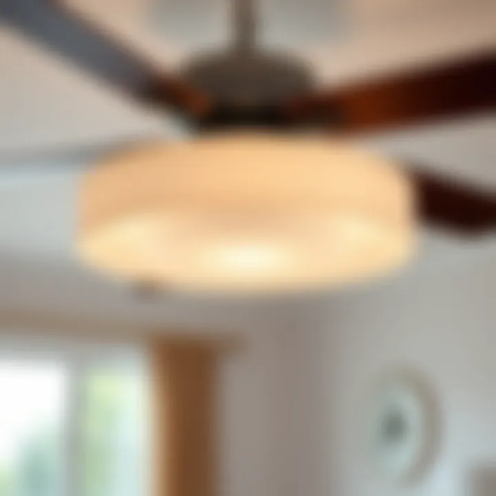 Exploring Lowes Ceiling Fan Light Shades: Considering Functionality and Aesthetics Summary
