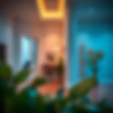 Modern Home Installation of White Trim Installation of Lowes white floor trim in a modern home