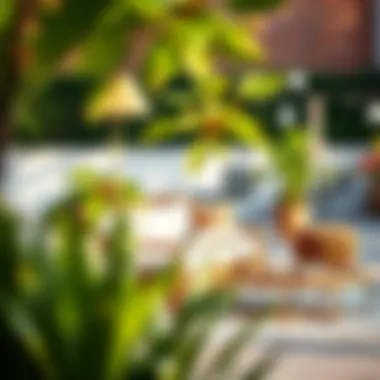 Exploring Modern Patio Furniture: Design, Functionality, and Trends Summary