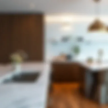 Exploring Plastic Laminate Countertops: A Local Perspective Summary
