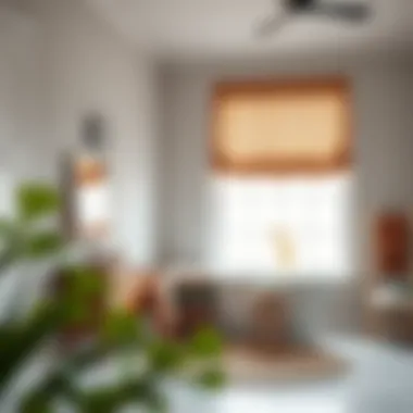 Notable Exploring Roman Shades for the Bathroom
