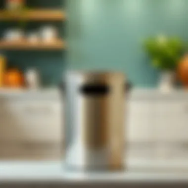 Notable Exploring the Aesthetic and Functional Aspects of Silver Trash Cans for Kitchens