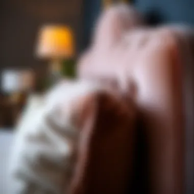 Close-up of rich velvet texture showcasing the plush feel