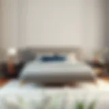 Elegant queen bed setup showcasing bedding