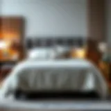 Exploring the Elegance of Light Gray Duvet Covers for Queen Beds Introduction