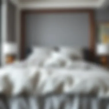 Notable Exploring the Elegance of Light Gray Duvet Covers for Queen Beds Notable Exploring the Elegance of Light Gray Duvet Covers for Queen Beds