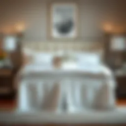 Exploring the Functionality and Aesthetics of a White Queen Bedskirt Introduction