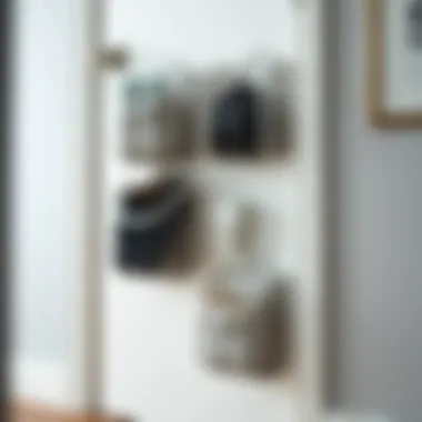 Exploring the Functionality and Design of Mesh Over the Door Shoe Organizers Summary