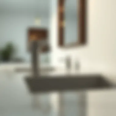 Notable Exploring the Intersection of Design and Functionality in Bathroom Vanities with Faucets