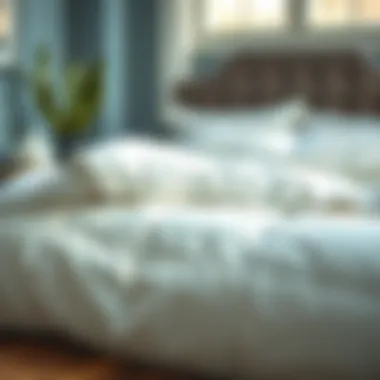 Care instructions for maintaining down duvets