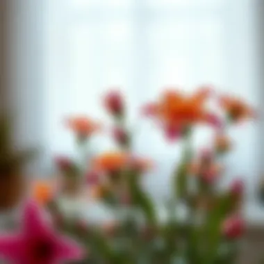 Notable Exploring the Realm of Fake Flowers Without Stems