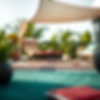 Notable Exploring the Utility and Aesthetics of 12 x 14 Outdoor Carpets