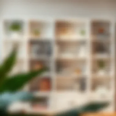 White bookshelf styled with decorative items and practical applications