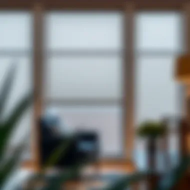 Notable Exploring the Versatility of Panel Vertical Blinds