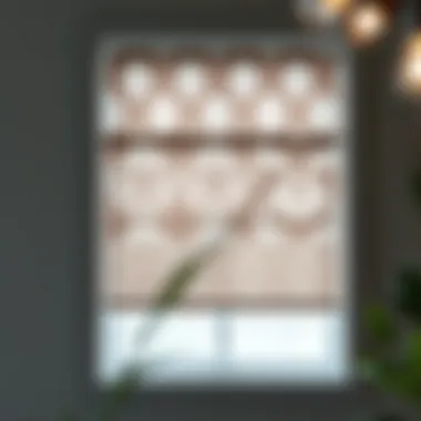 Customizable paper window shades showcasing various patterns