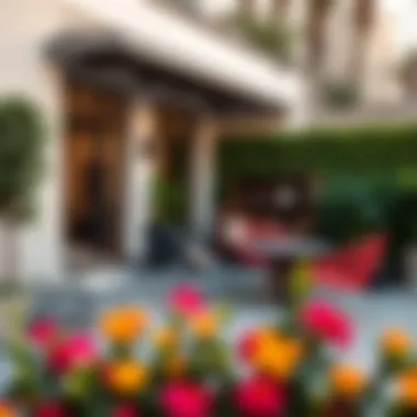 Modern Patio with Plastic String Chairs A modern outdoor patio featuring various plastic string chairs