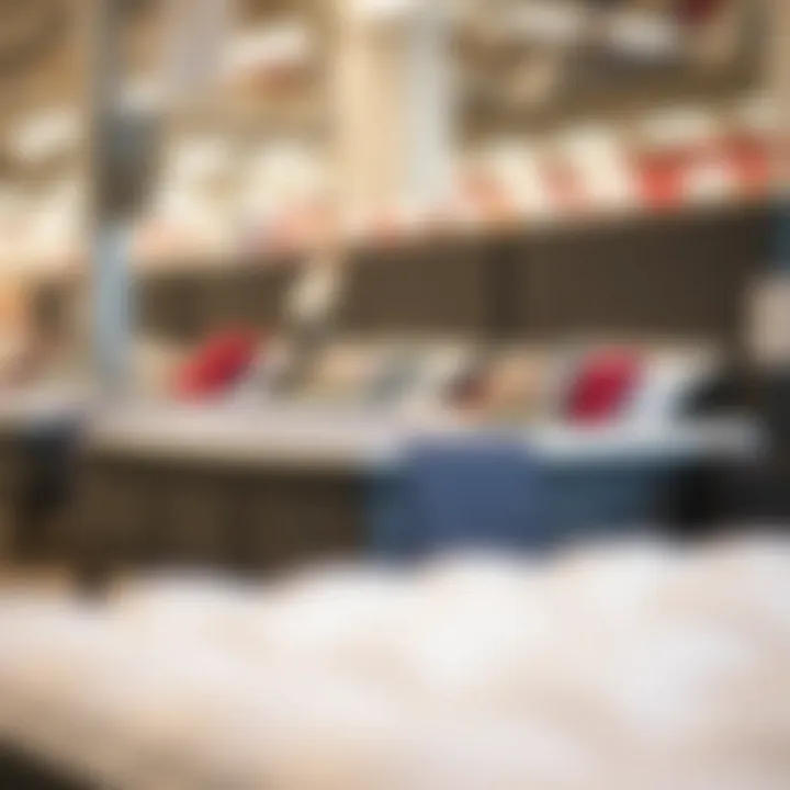 Exploring Twin Mattresses and Box Springs at Big Lots Summary