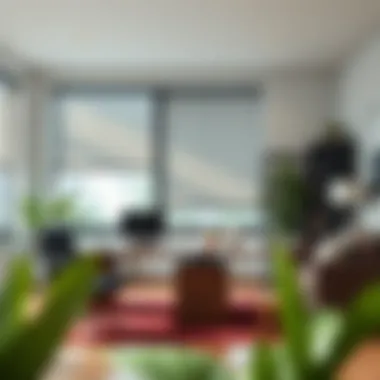 Contemporary office space featuring versatile roller shades