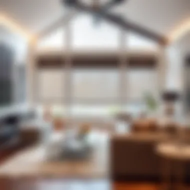 Elegant living room adorned with stylish roller shades