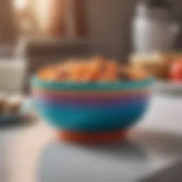 Stylish elasticized plastic bowl cover on a colorful bowl